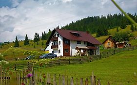 Casa din Plai - Bucovina